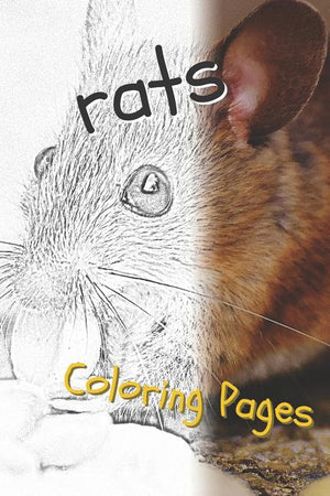 Rat Coloring Pages: Beautiful Rats Drawings for Kids and for Adults Relaxation