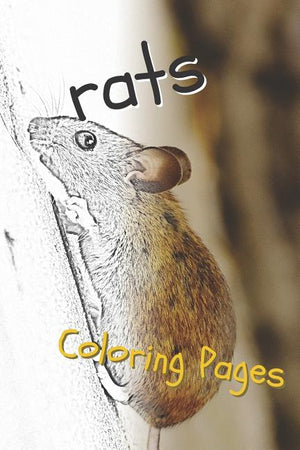 Rat Coloring Pages: Beautiful Rats Drawings for Kids and for Adults Relaxation