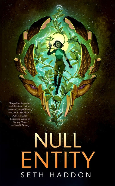 Null Entity (Volatile Memory Duology #2)