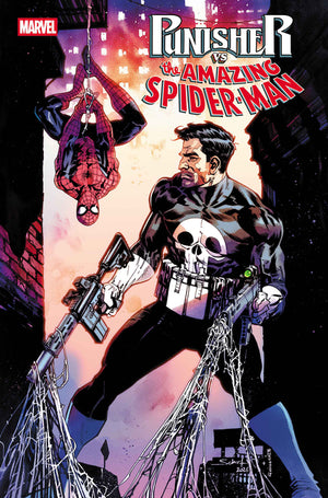 Punisher vs. Spider-Man