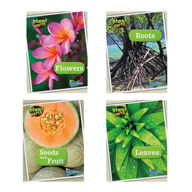 Plant Parts (Plant Parts)