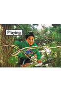 Playing: Leveled Reader Bookroom Package Magenta (Levels 1-2) [With Booklet] (Rigby PM Platinum Collection) (1ST ed.)