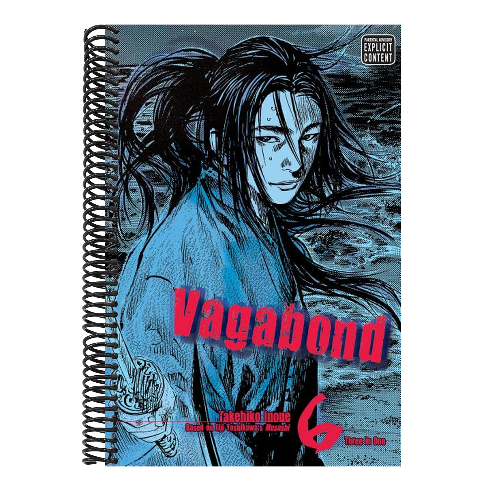 Vagabond (Vizbig Edition), Vol. 6