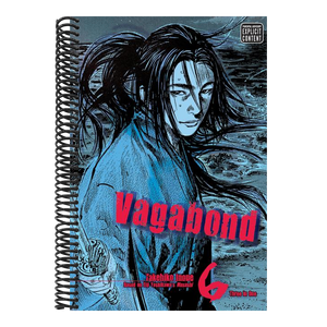 Vagabond (Vizbig Edition), Vol. 6