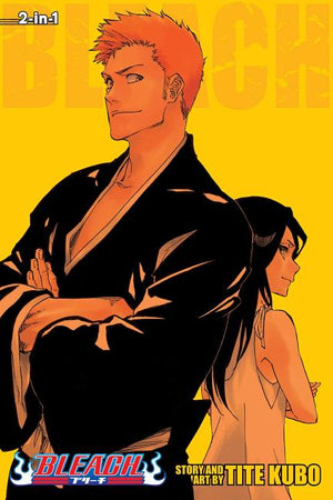 Bleach (2-In-1 Edition), Vol. 25