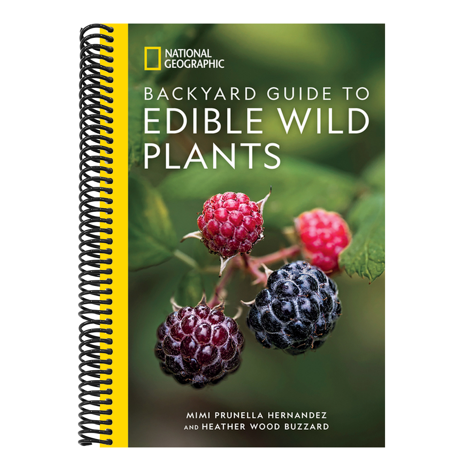 National Geographic Backyard Guide to Edible Wild Plants