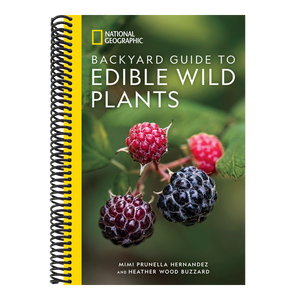 National Geographic Backyard Guide to Edible Wild Plants