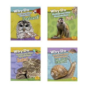 Animal Body Coverings (Animal Body Coverings)