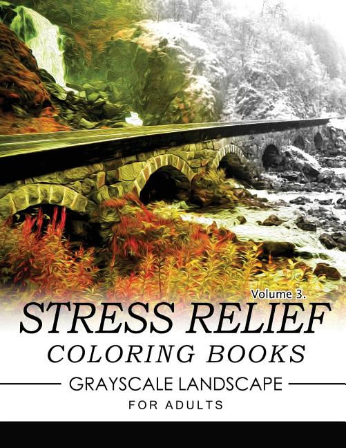Stress Relief Coloring Books GRAYSCALE Landscape for Adults Volume 3