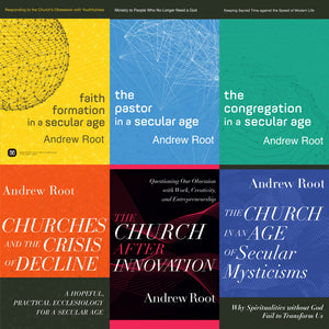 Ministry in a Secular Age Set (Ministry in a Secular Age)