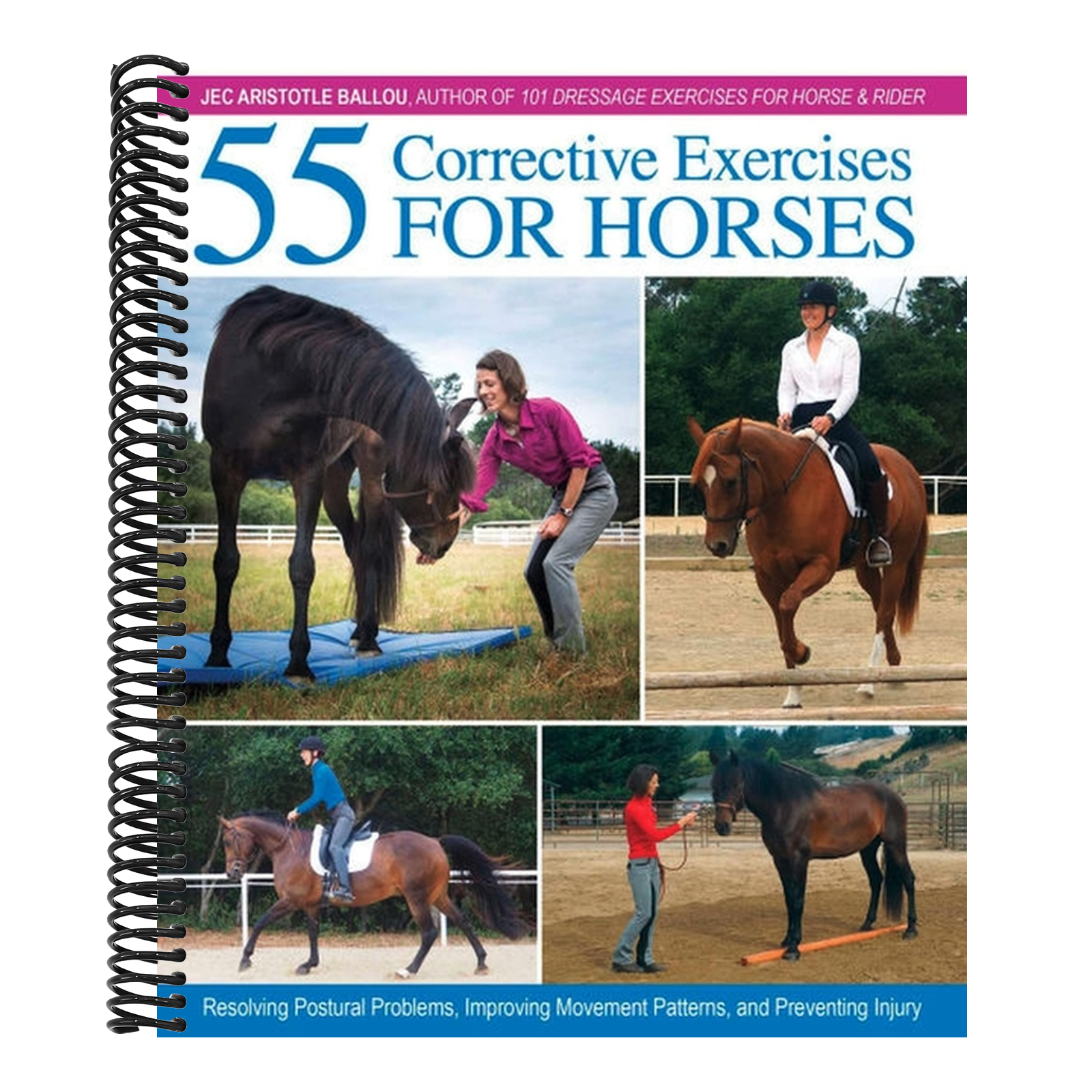 55 Corrective Exercises for Horses: Resolving Postural Problems, Improving Movement Patterns, and Preventing Injury