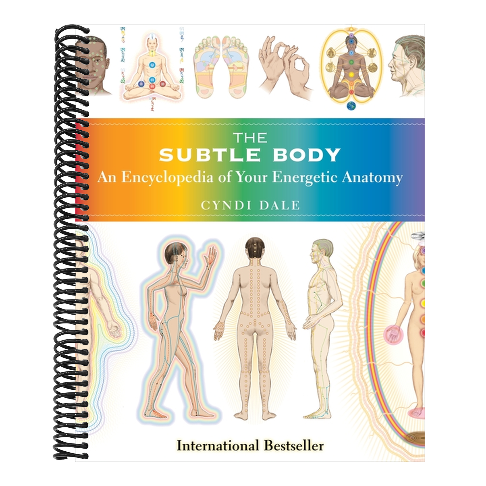 The Subtle Body: An Encyclopedia of Your Energetic Anatomy