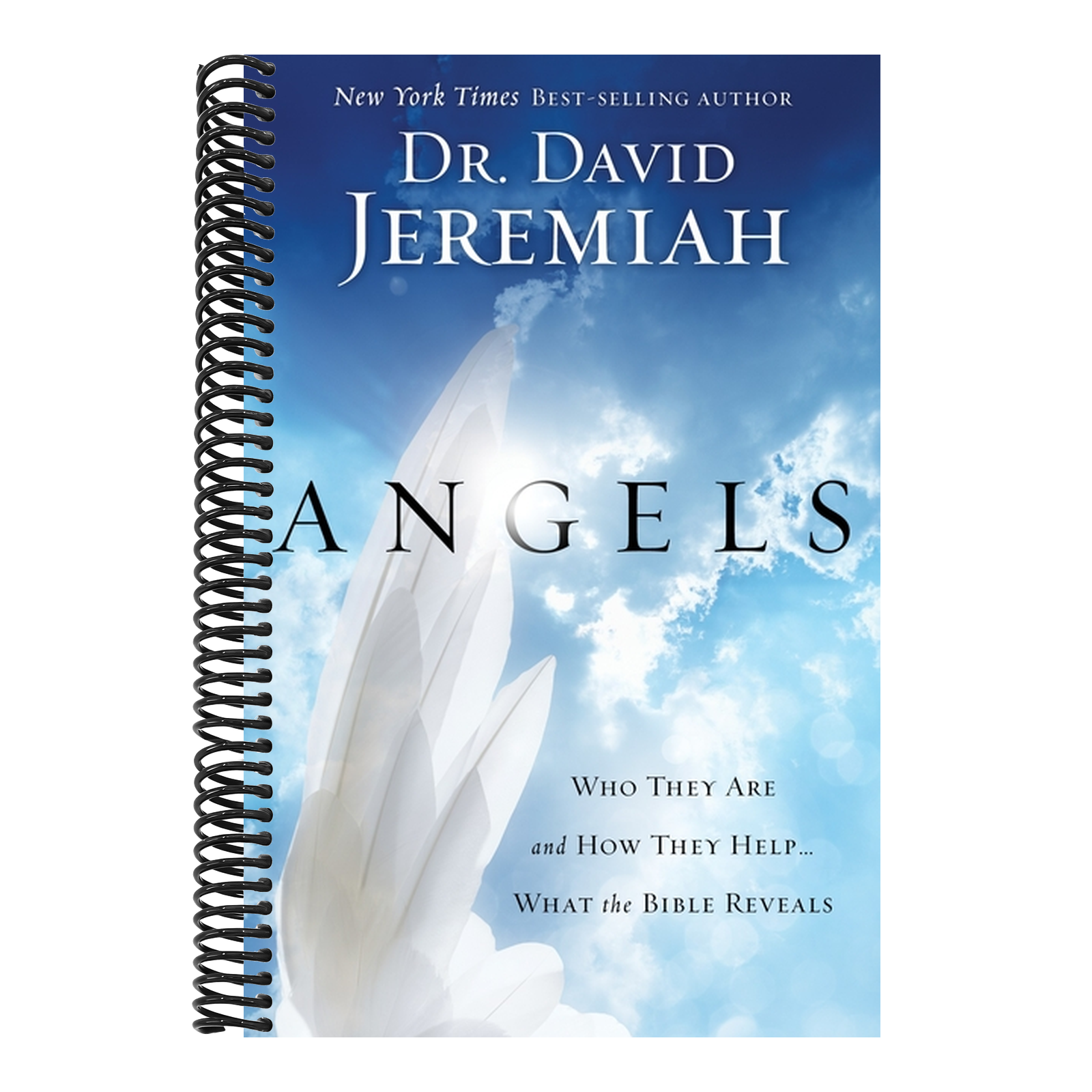 Angels: Who They Are and How They Help...What the Bible Reveals