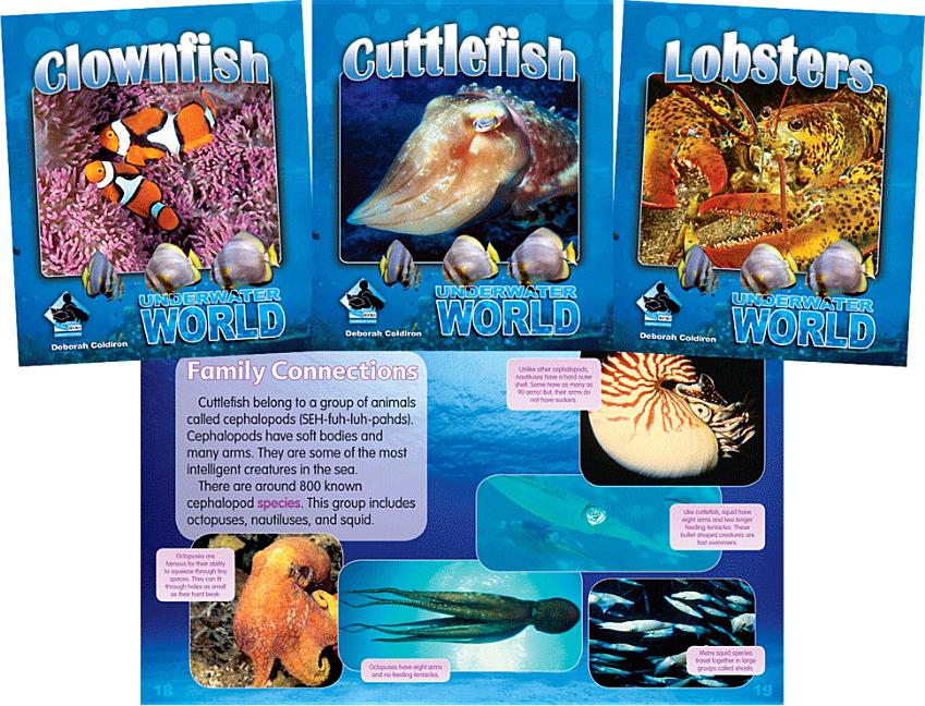 Underwater World Set 2 (Set) (Underwater World Set 2)