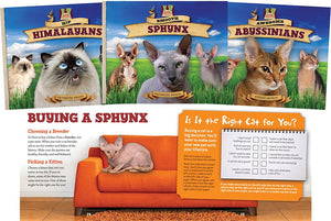 Cat Craze Set 1 (Set) (Cat Craze Set 1)