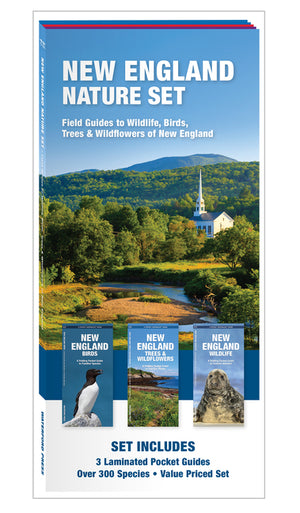 New England Nature Set: Field Guides to Wildlife, Birds, Trees & Wildflowers of New England (Nature Observation North America) (1ST ed.)