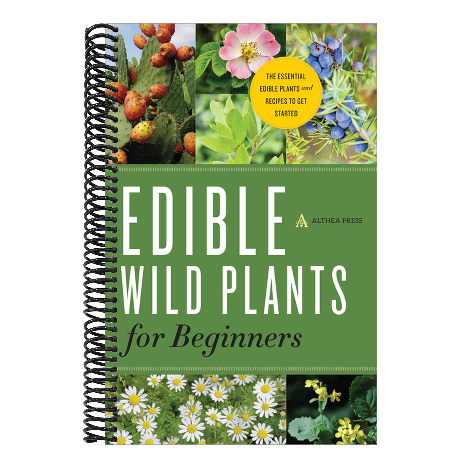 Edible Wild Plants for Beginners: The Essential Edible Plants and Recipes to Get Started