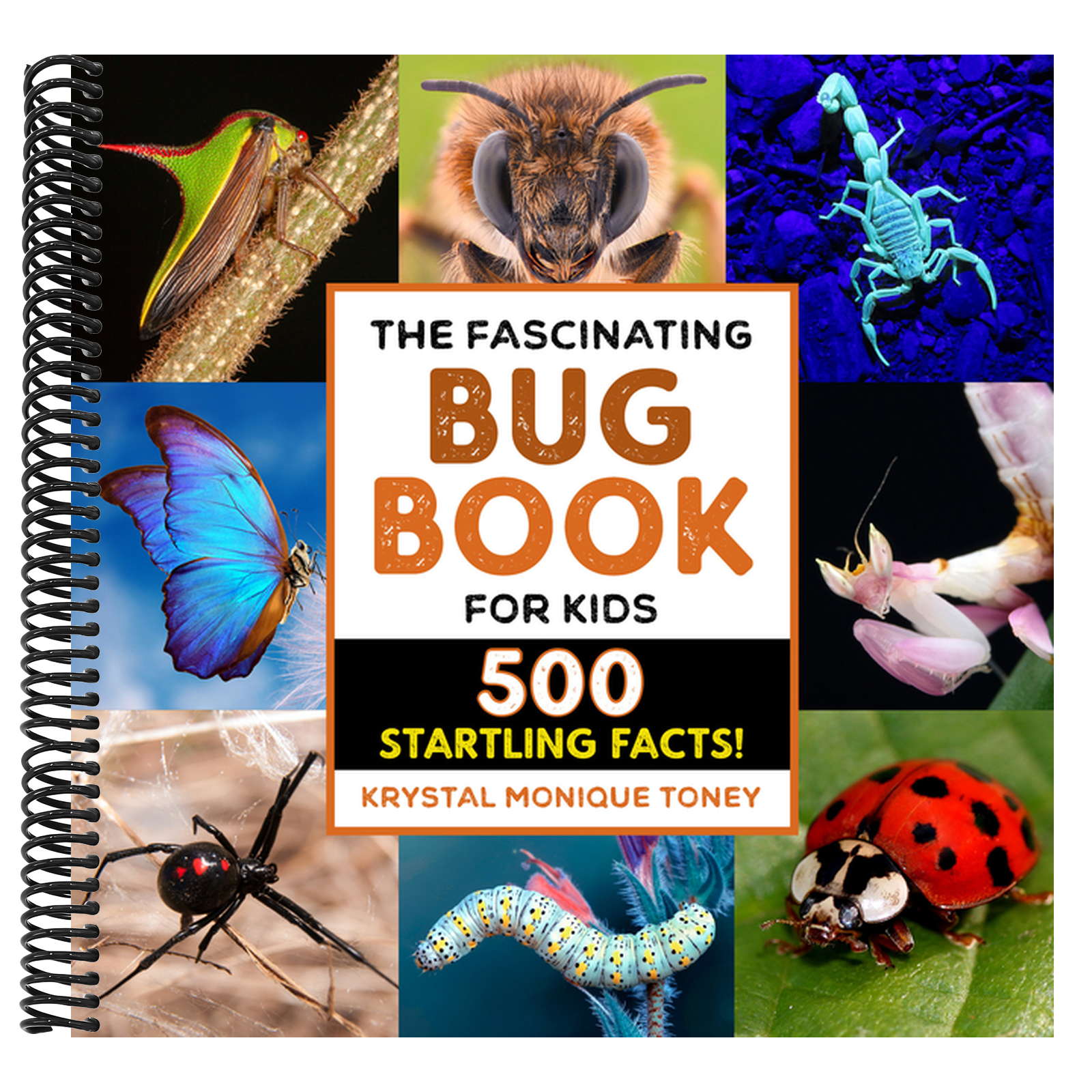 The Fascinating Bug Book for Kids: 500 Startling Facts!