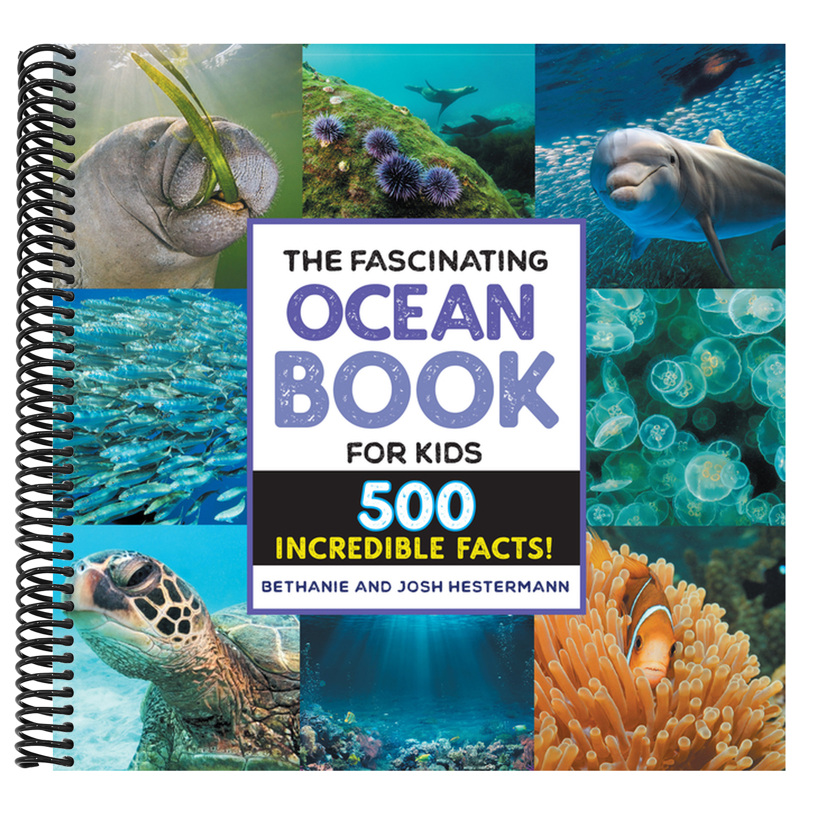 The Fascinating Ocean Book for Kids: 500 Incredible Facts!