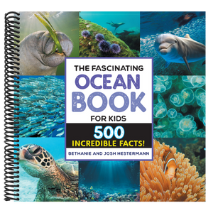 The Fascinating Ocean Book for Kids: 500 Incredible Facts!