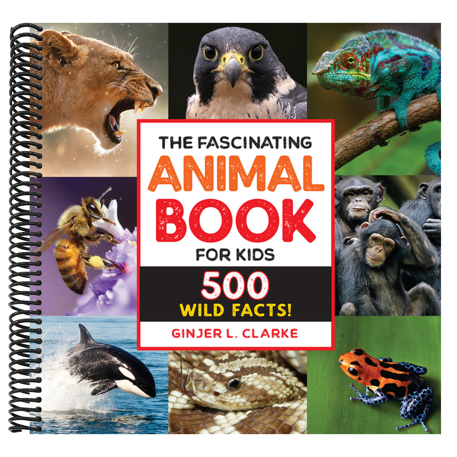 The Fascinating Animal Book for Kids: 500 Wild Facts!