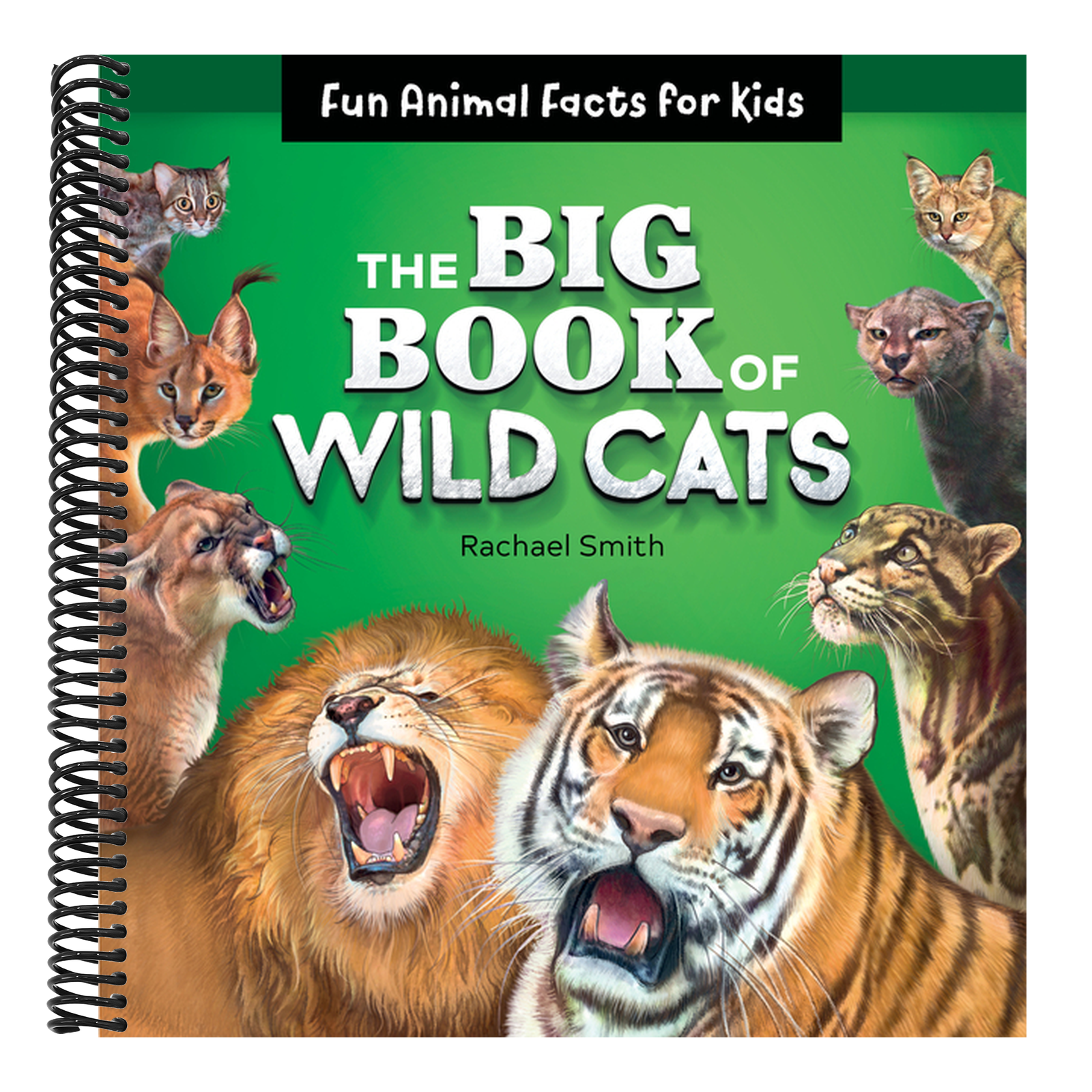 The Big Book of Wild Cats: Fun Animal Facts for Kids