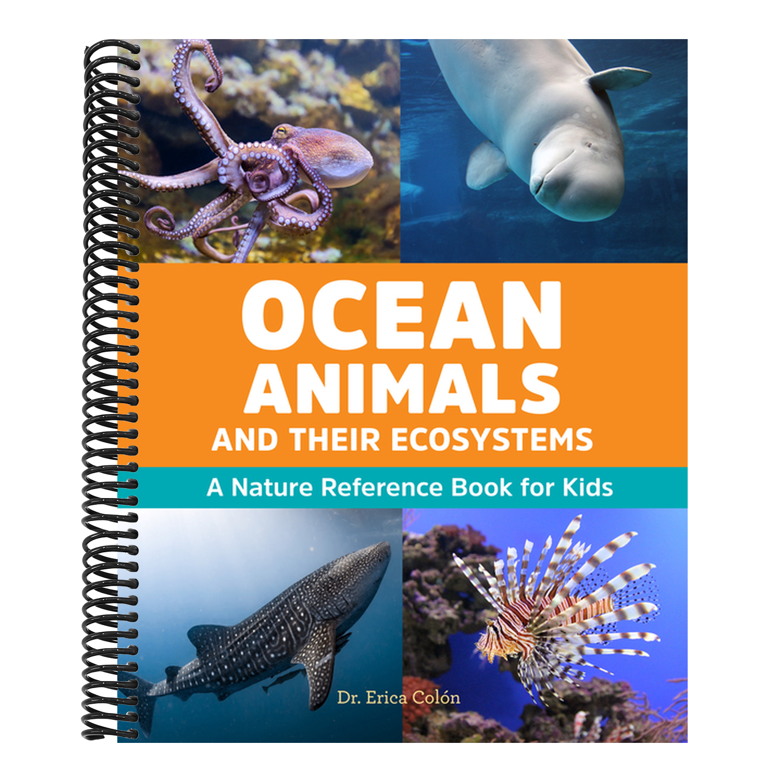 Ocean Animals and Their Ecosystems: A Nature Reference Book for Kids