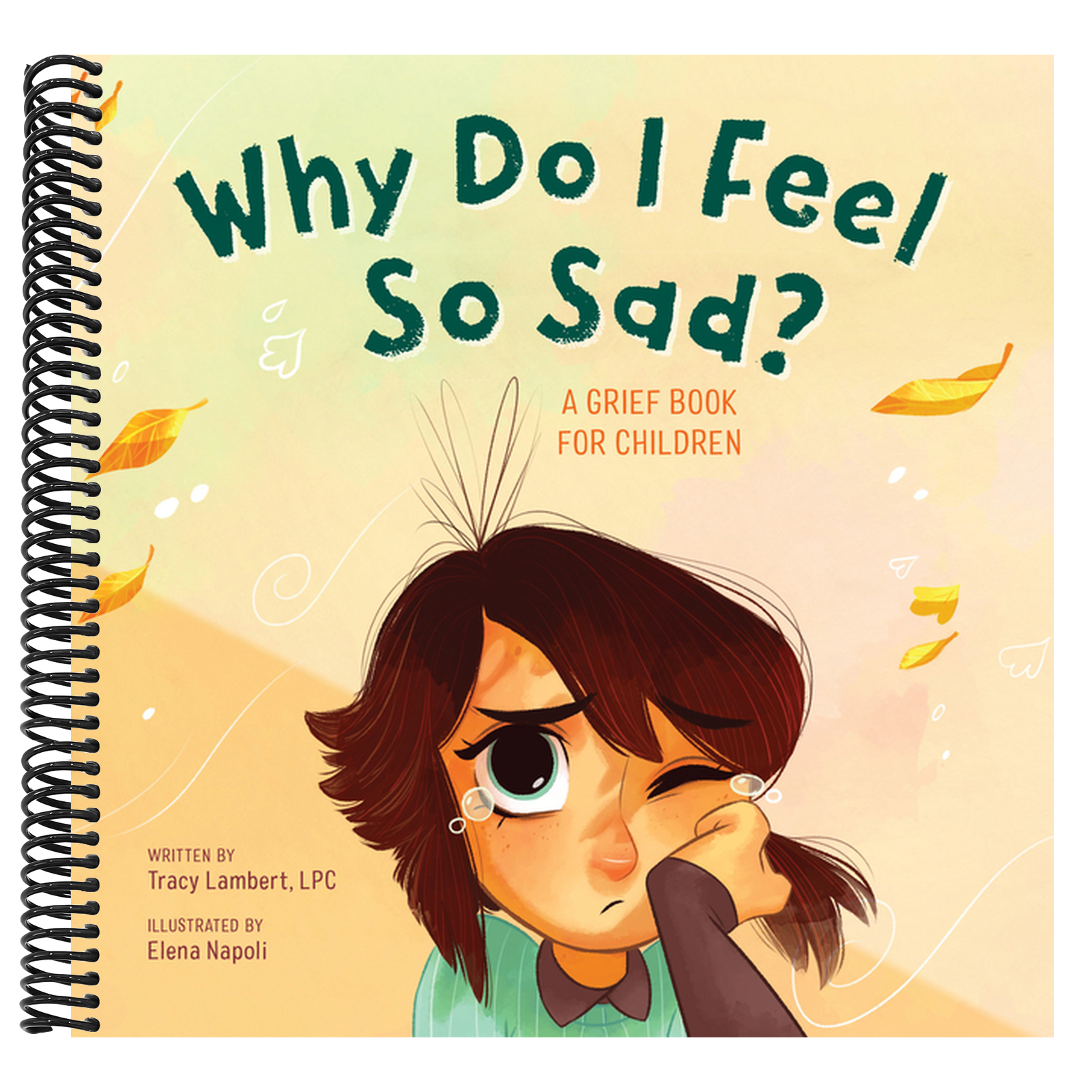 Why Do I Feel So Sad?: A Grief Book for Children