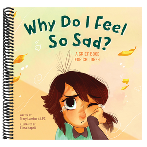 Why Do I Feel So Sad?: A Grief Book for Children