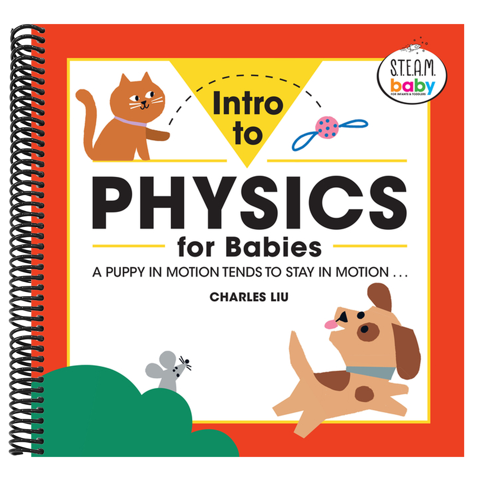 Intro to Physics for Babies