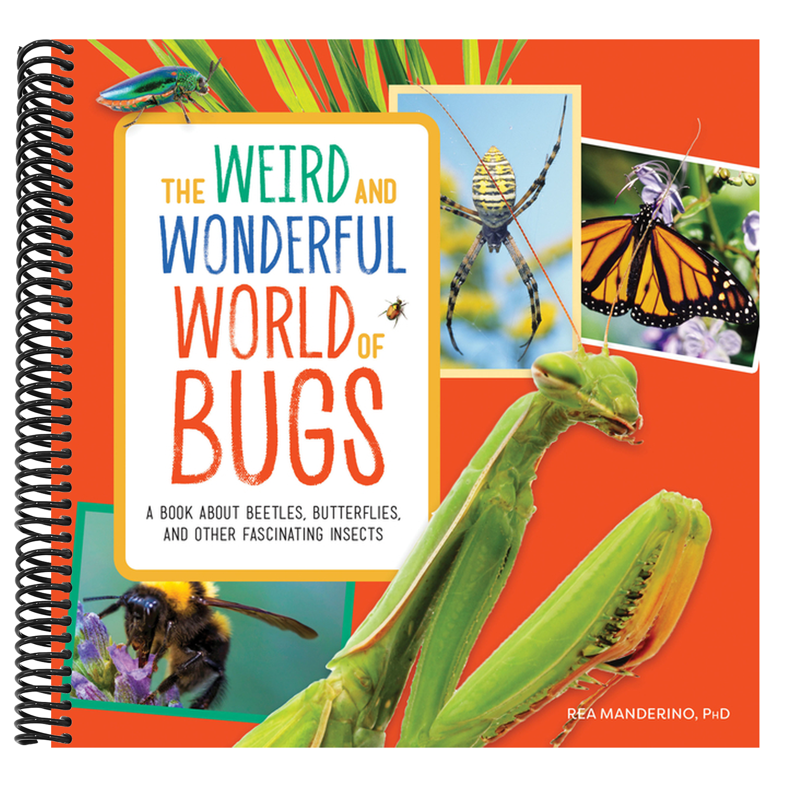 The Weird and Wonderful World of Bugs: A Book about Beetles, Butterflies, and Other Fascinating Insects