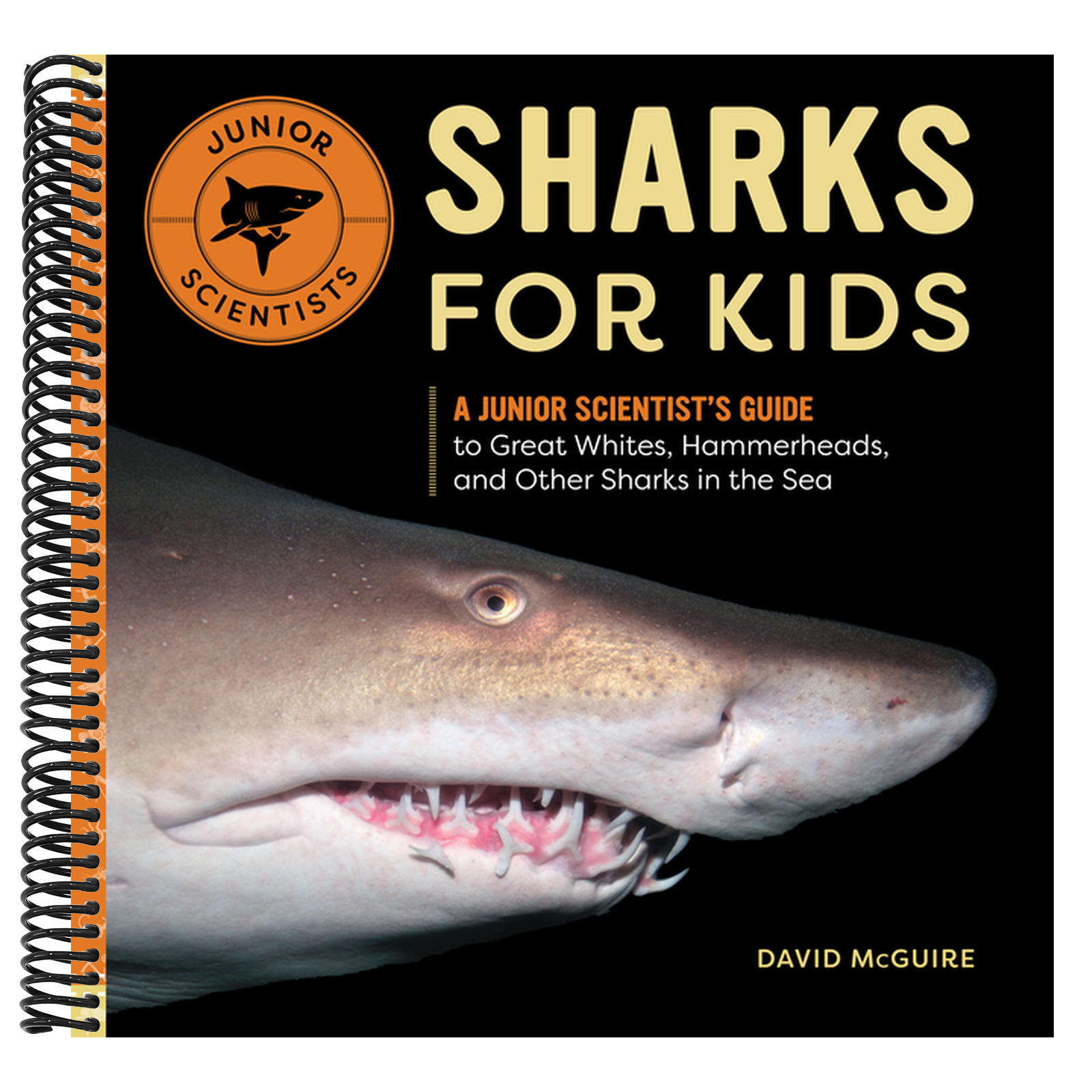 Sharks for Kids: A Junior Scientist's Guide to Great Whites, Hammerheads, and Other Sharks in the Sea