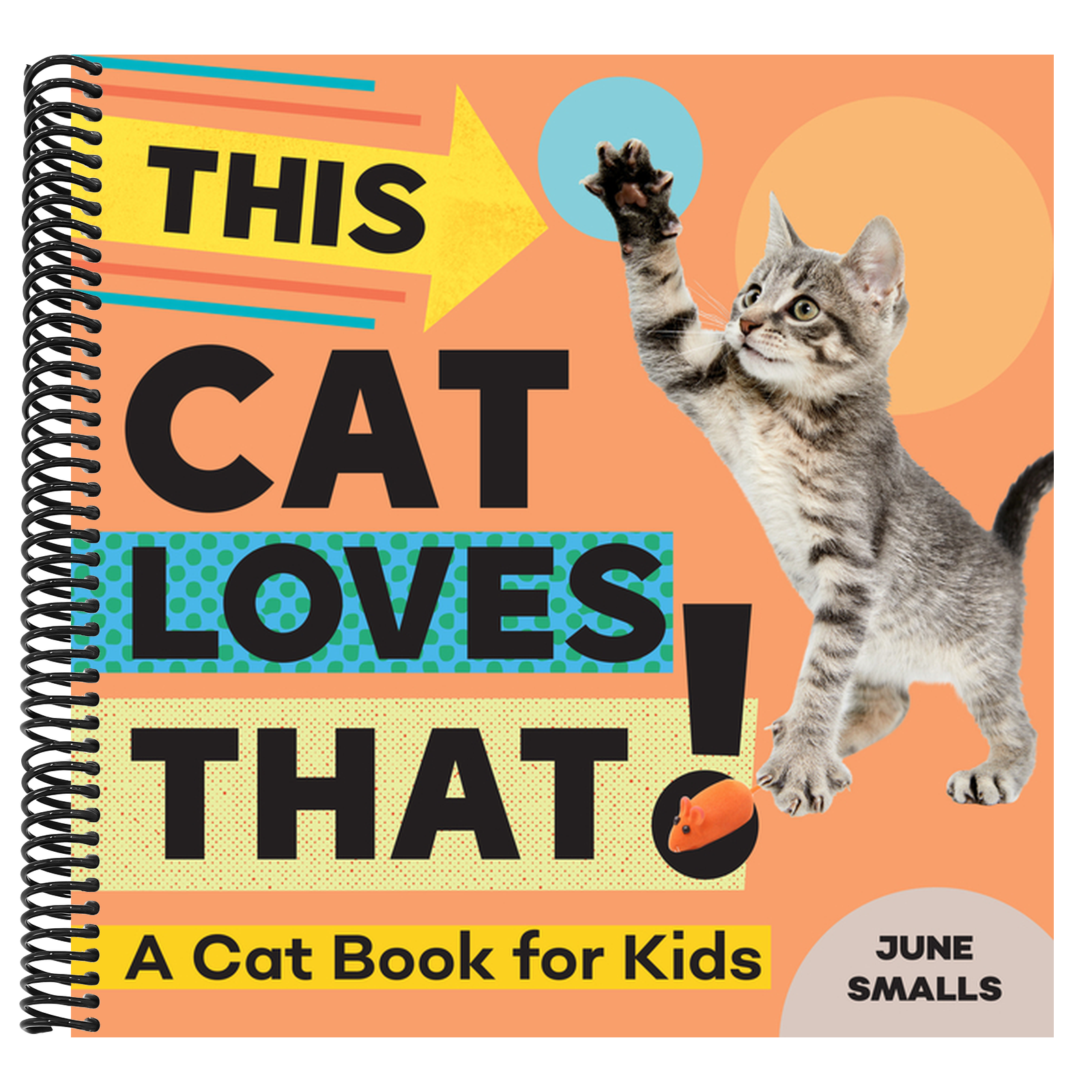 This Cat Loves That!: A Cat Book for Kids