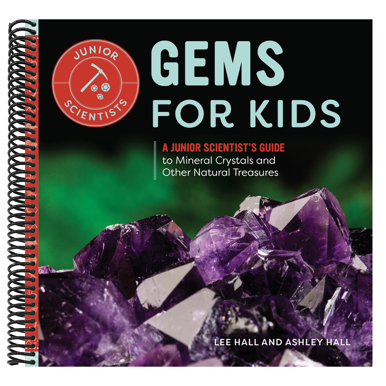 Gems for Kids: A Junior Scientist's Guide to Mineral Crystals and Other Natural Treasures