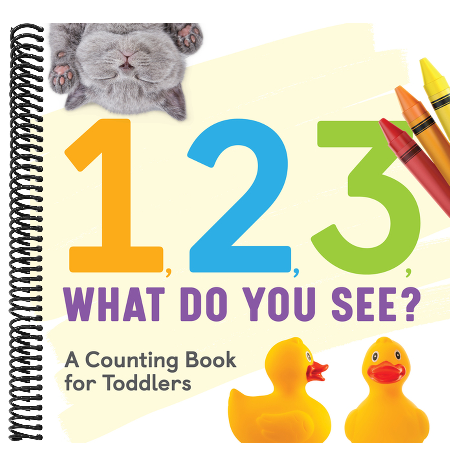 1, 2, 3, What Do You See?: A Counting Book for Toddlers