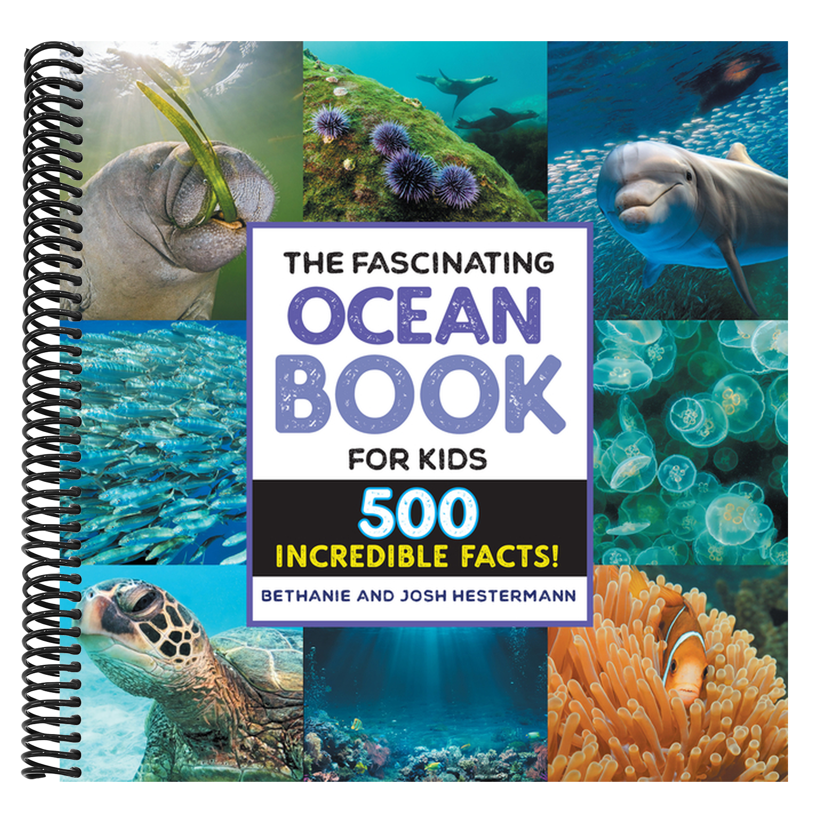 The Fascinating Ocean Book for Kids: 500 Incredible Facts!