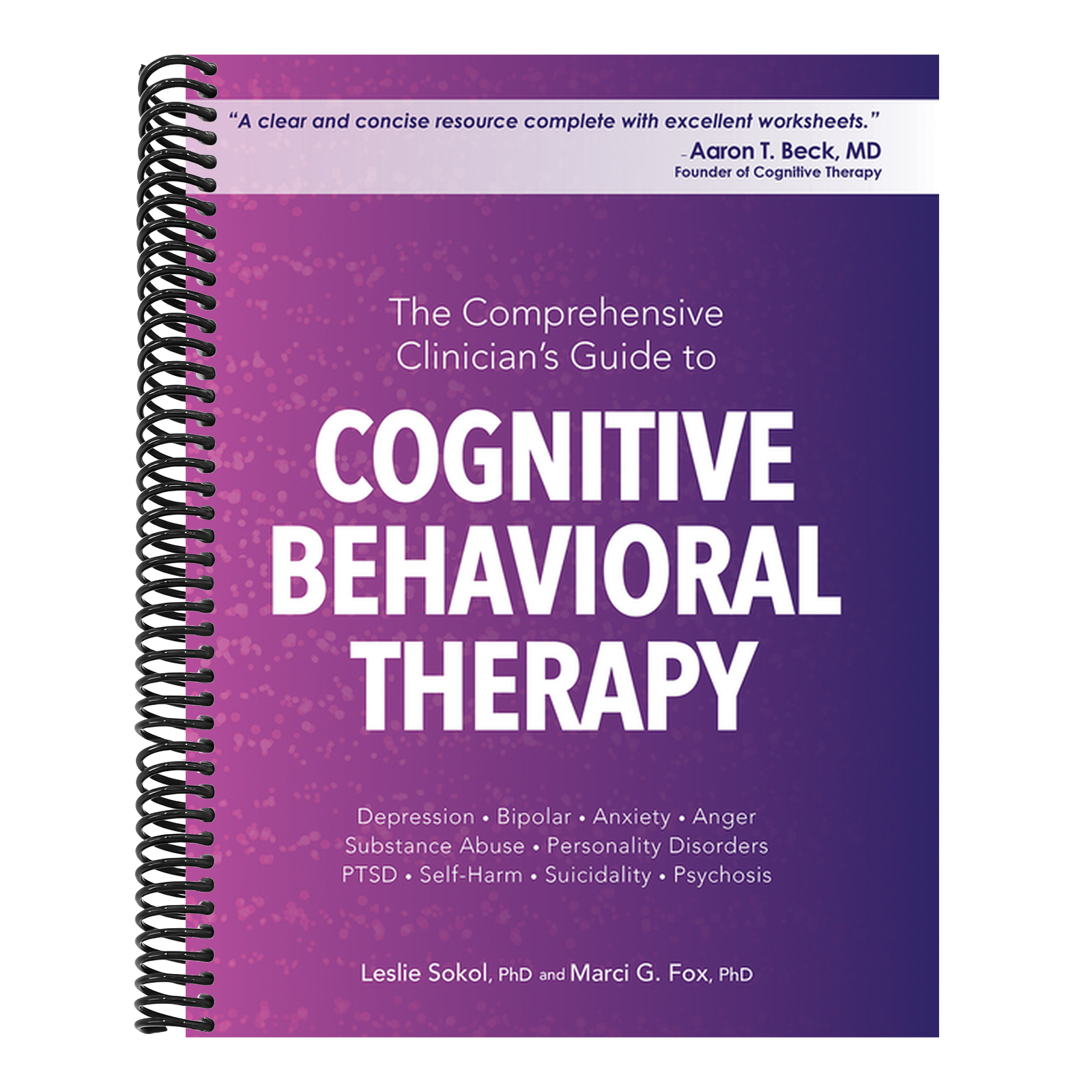 The Comprehensive Clinician's Guide to Cognitive Behavioral Therapy