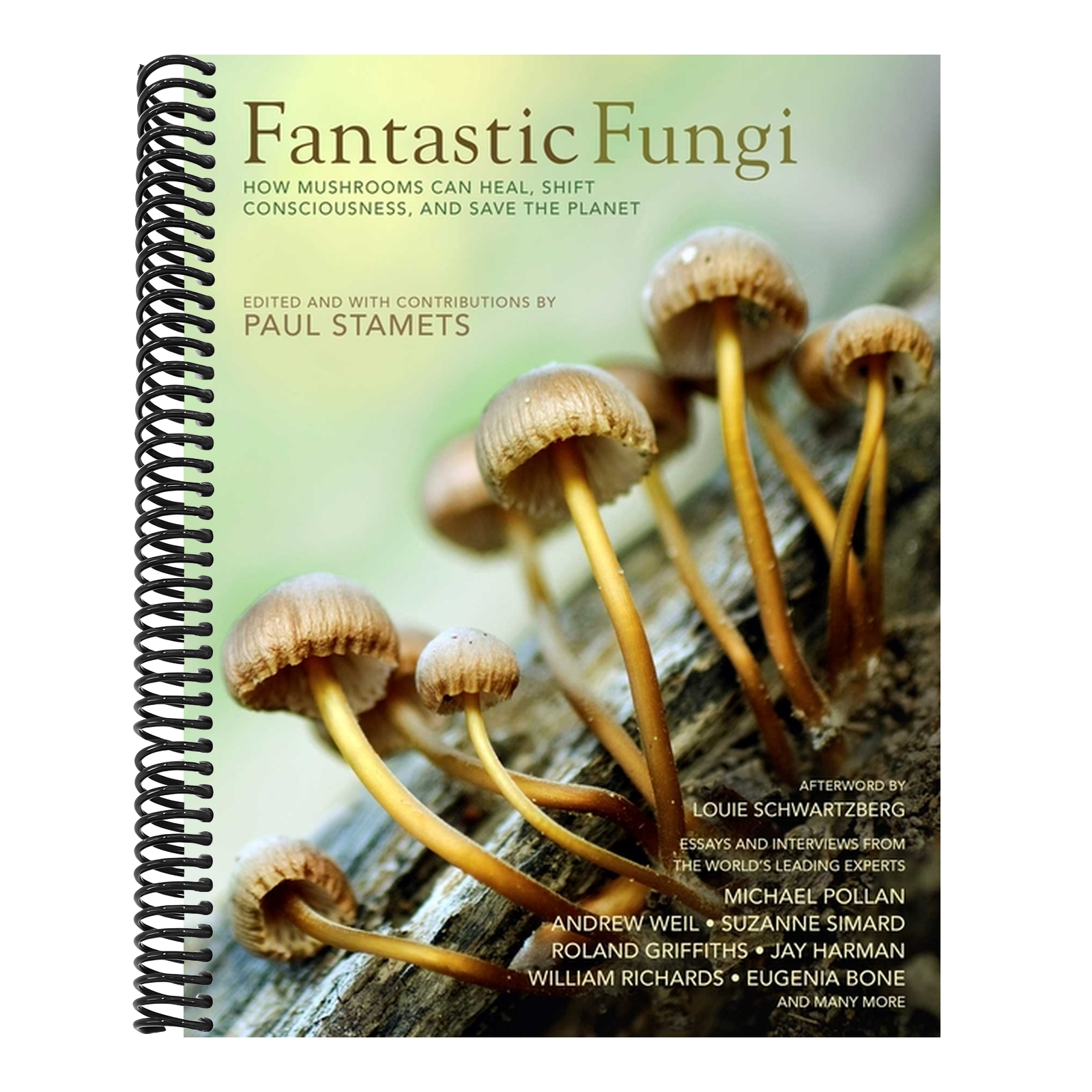 Fantastic Fungi: How Mushrooms Can Heal, Shift Consciousness, and Save the Planet