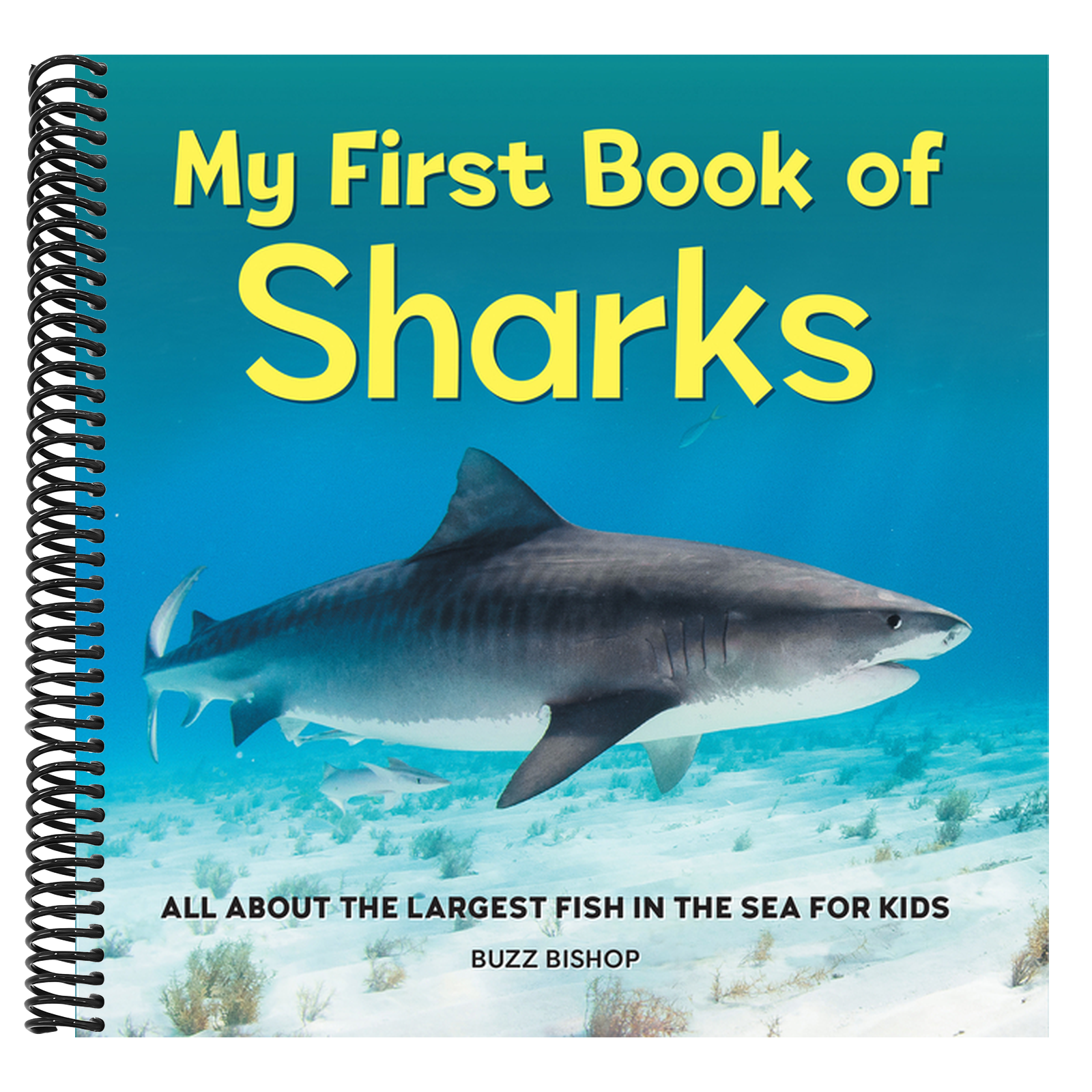 My First Book of Sharks: All about the Largest Fish in the Sea for Kids