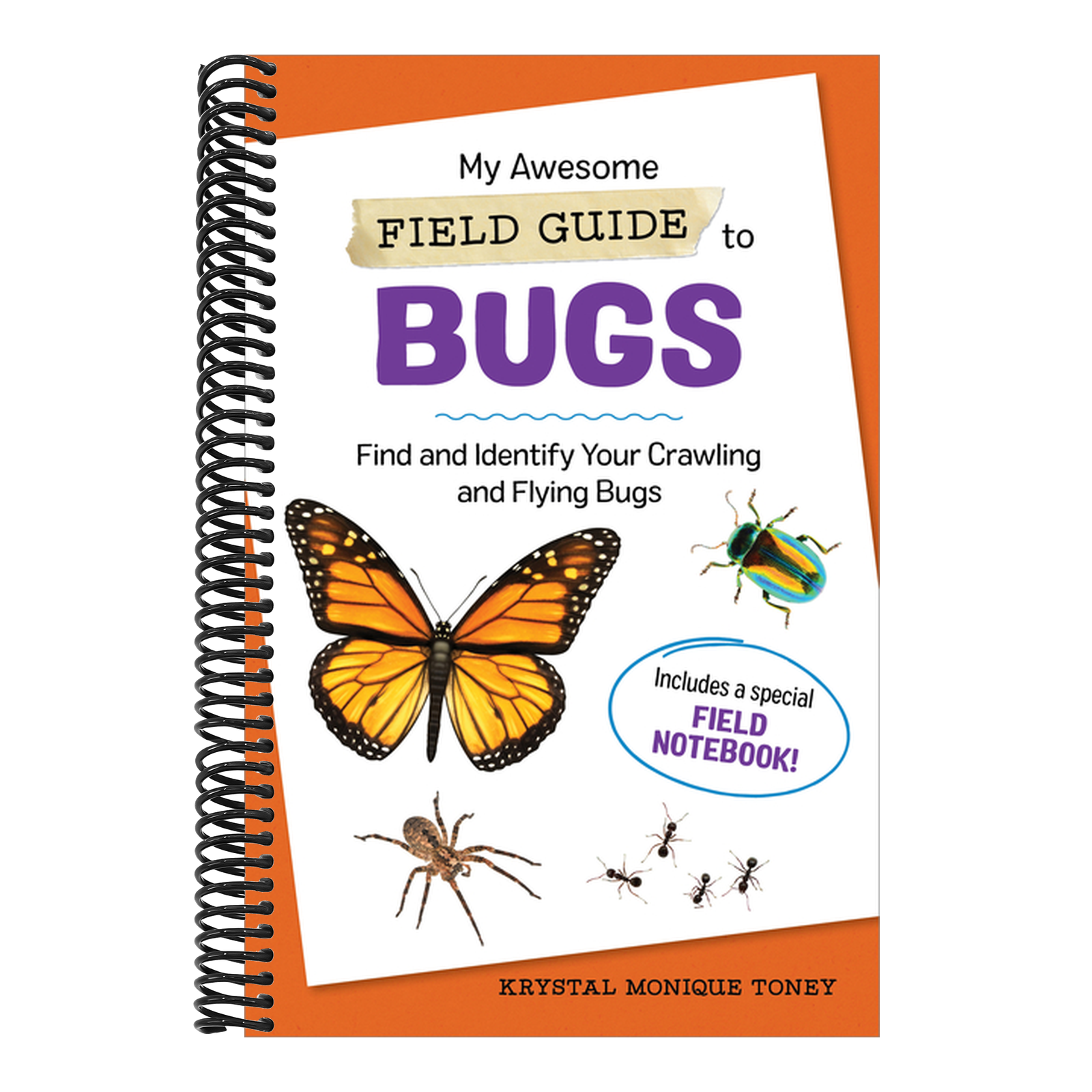 My Awesome Field Guide to Bugs: Find and Identify Your Crawling and Flying Bugs