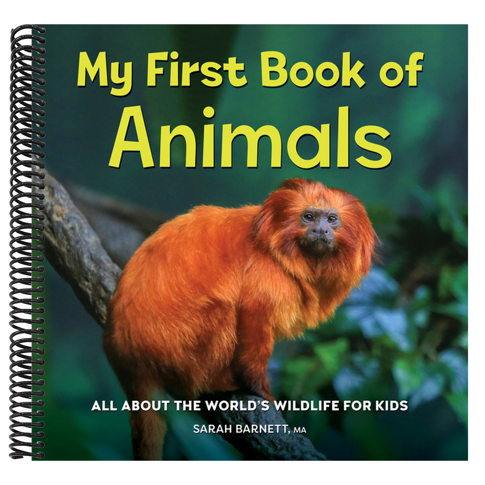 My First Book of Animals: All about the World's Wildlife for Kids