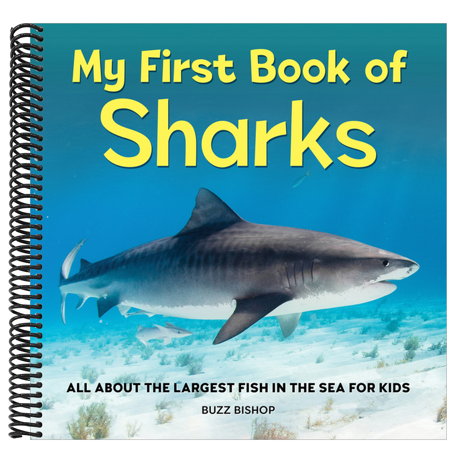 My First Book of Sharks: All about the Largest Fish in the Sea for Kids