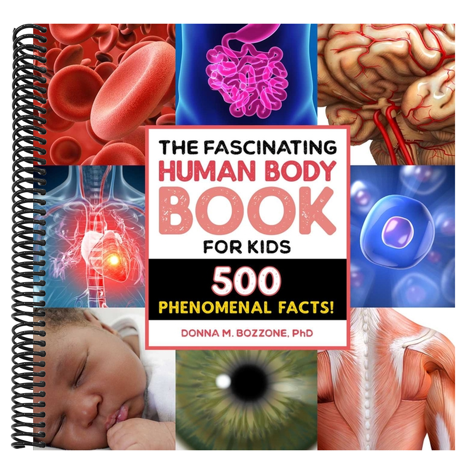 The Fascinating Human Body Book for Kids: 500 Phenomenal Facts!