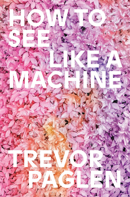 How to See Like a Machine: Images After AI