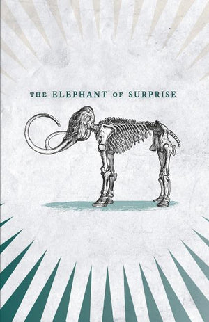 The Elephant of Surprise