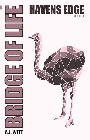 Bridge of Life: Havens Edge (Issue 1)