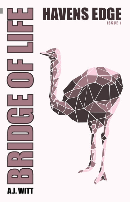 Bridge of Life: Havens Edge (Issue 1)