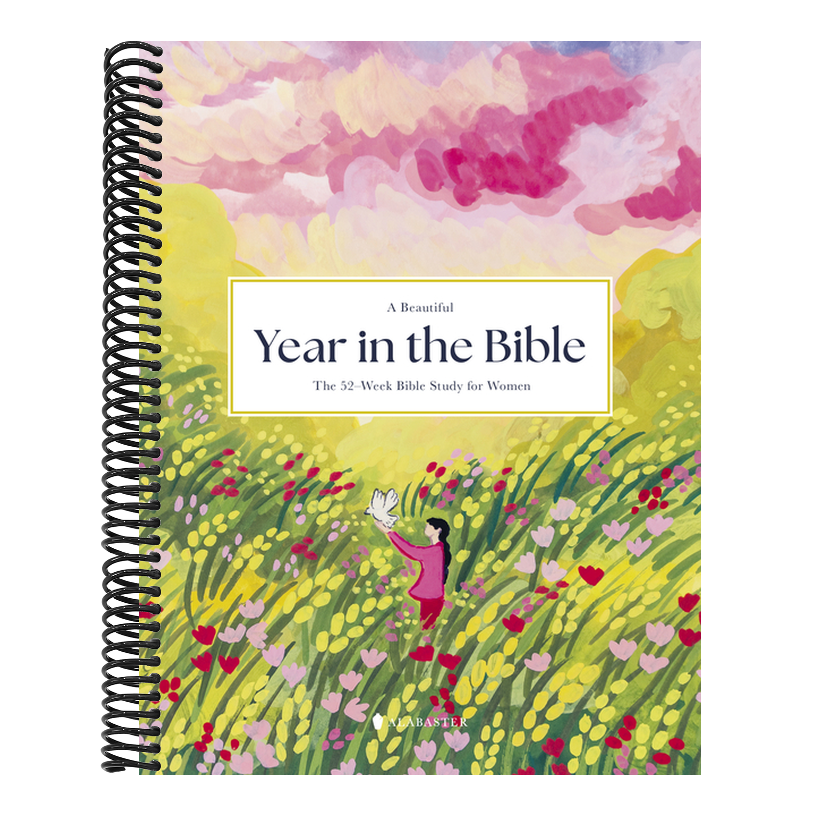 A Beautiful Year in the Bible: The 52-Week Bible Study for Women (Sc)