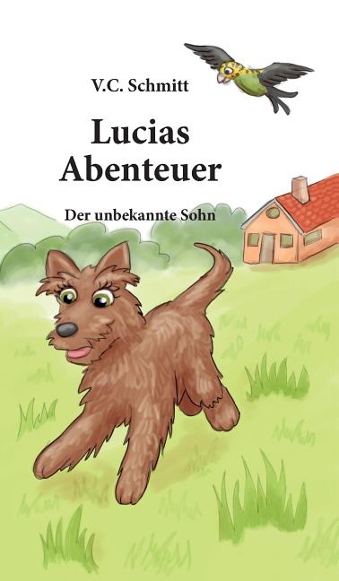 Lucias Abenteuer: Der Unbekannte Sohn