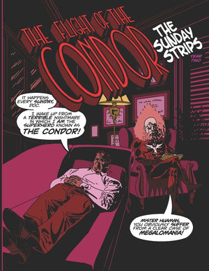 The Flight of The Condor, The Sunday Strips: Year two